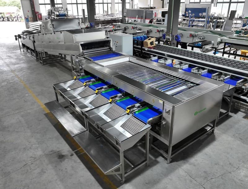 images/1726819191020Cassava processing machine.jpg